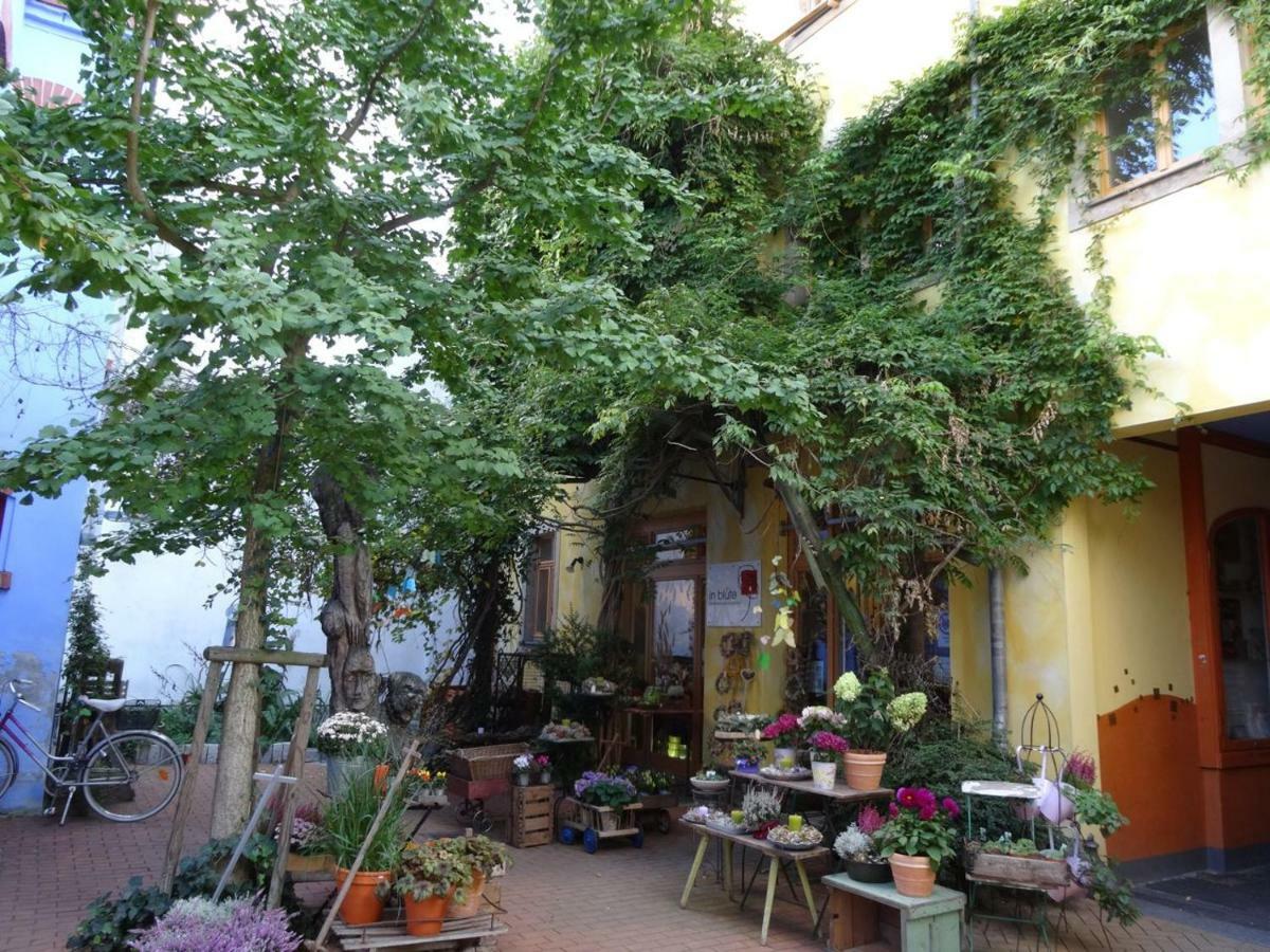 Apartment Kunsthofperle